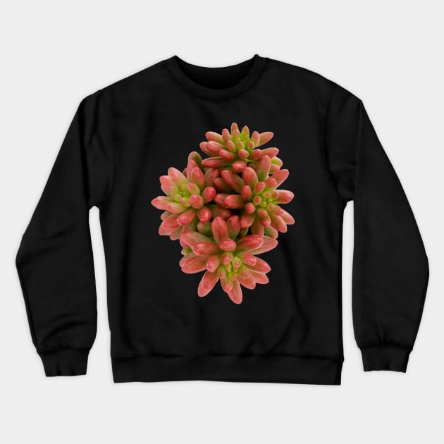 suculenta Sedum Aurora Crewneck Sweatshirt by NerdsbyLeo